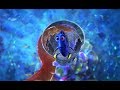 Finding Dory Dory Says Goodbye To Hank
