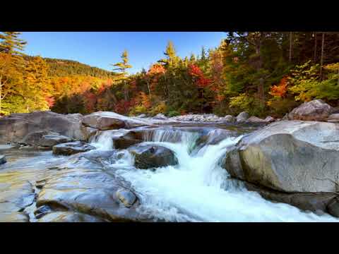 USA Autumn River Flowing Through Fall Foliage 4K | River Sounds for Sleep, Study, Relax, Anxiety.