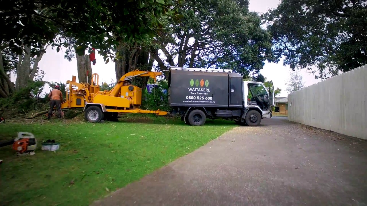 Waitakere tree services drone video