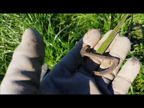 Der Bayern Sondler Teil 75 - Sondel-Spezial #32 auf der Römerwiese hinter der Kapelle