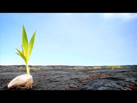 Jontey & Paul SG - Come Through (Bass Tikal Remix)