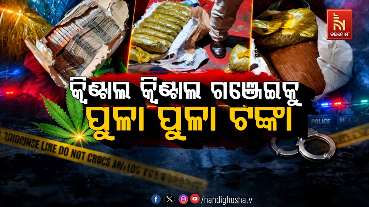 🔴Live | କ୍ବିଣ୍ଟାଲ କ୍ବିଣ୍ଟାଲ ଗଞ୍ଜେଇକୁ ପୁଳା ପୁଳା ଟଙ୍କା