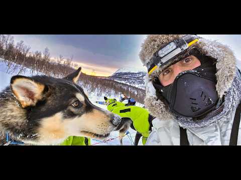 74km Huskytour Overnight | One Week Husky Expedition in Sweden Part 3