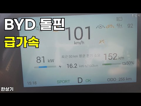 BYD 돌핀 급가속(BYD Dolphin Acceleration) - 2026.02.20