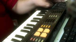 Video thumbnail for Casio SK-8 Test / Riva Lima by Tecladista do Youtube