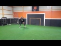Private workout-Fielding Drills