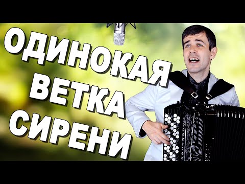 БОЖЕ, ВОТ ЭТО ГОЛОС! ПРОСТО ДУШУ РВЕТ! ("Одинокая ветка сирени" под баян)