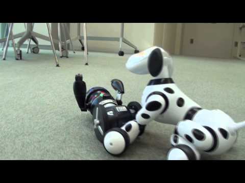 Ｈｅｌｌｏ！ＭｉＰ（ハローミップ）Ｈｅｌｌｏ！Ｚｏｏｍｅｒ（ハローズーマー）　「一緒に遊んでみた！」編