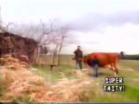 fIREHOSE - Walking The Cow video w/Mike Watt intro