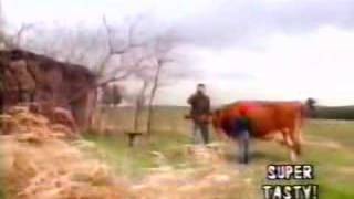 fIREHOSE - Walking The Cow video w/Mike Watt intro