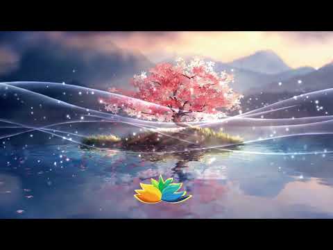 A Guided Healing Meditation with Rev Barry King