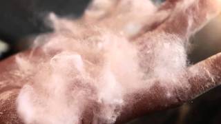 White Mold - The Trashies