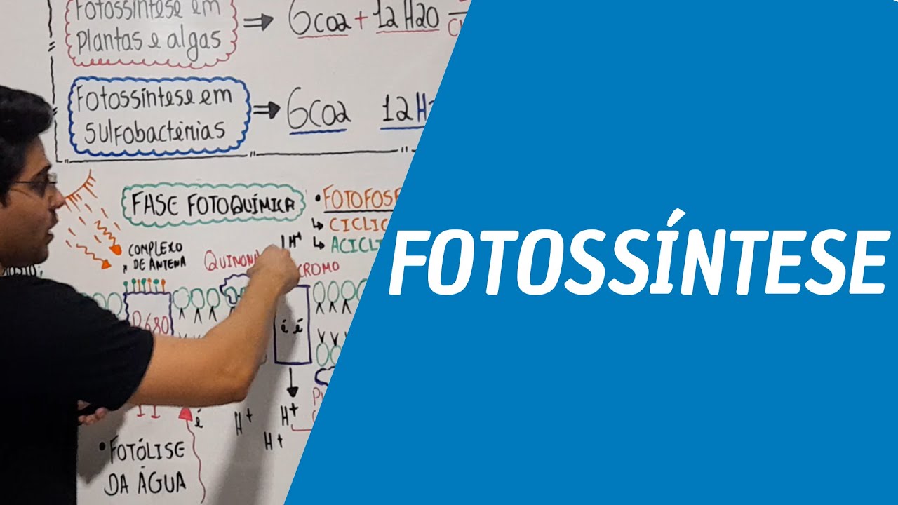 FOTOSSÍNTESE - FASE FOTOQUÍMICA E QUÍMICA - COMPLETA - Prof. Emerson Inácio