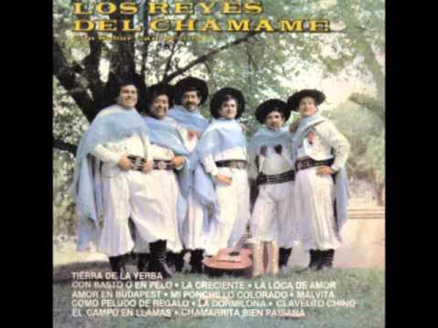 Los Reyes del Chamamé- Con sabor campesino (1981) -Disco Entero-