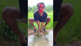 Download lagu Spiderman Helps Abel Lift Thor's Hammer mp3