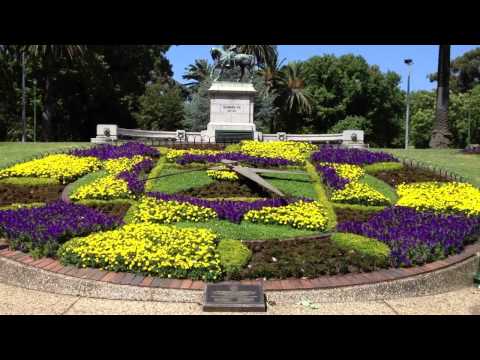 Queen Victoria Gardens Floral 