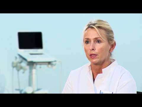 Vasomotorischen Rhinitis in Osteochondrose Wunde am Gelenk eines Hundes