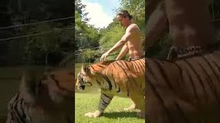 Download lagu Real Life Tarzan  #Kody antle #wildlife #love_animals mp3