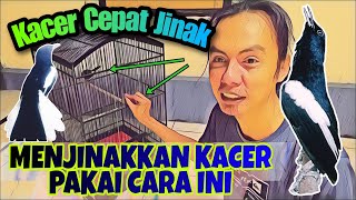 Download lagu THIS IS THE ONLY WAY TO TAME A MUSHROOM QUICKLY || HOW TO TAME A MUSHROOM mp3 Download lagu THIS IS THE ONLY WAY TO TAME A MUSHROOM QUICKLY || HOW TO TAME A MUSHROOM mp3