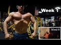 Pull and Push Day Lifting | Adjusting to 8 Meals Per Day | POSING UPDATE
