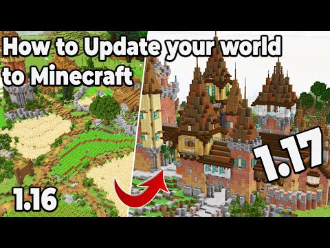 How to Update your Existing Survival world to Minecraft 1.17 MCASelector