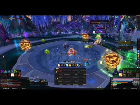Fused vs Mythic High Botanist Tel'arn | Holy Priest | US 15