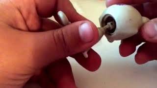 GOT SCAMMED 20$?! | skit