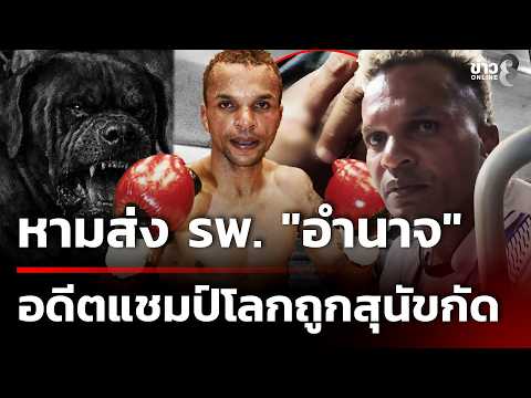 ข่าวช่อง8 and ช่อง8 : Thai Ch8