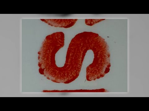 Faschingszug in Wagrain - Winter in Wagrain - Skiausflug auf den Semmering Februar 1967