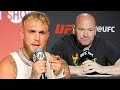 JAKE PAUL CHALLENGES "B*TCH" DANA WHITE TO 5 MILLION DOLLAR BET FOR ANDERSON SILVA FIGHT!