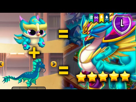 AS 6 MELHORES PROCRIAÇÕES MUITO FÁCEIS PARA INICIANTES no DRAGON CITY!