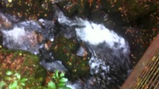 preview picture of video 'Inistioge Waterfall'