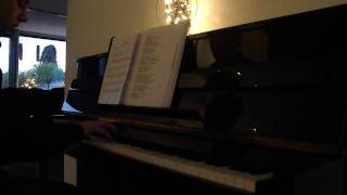 Youp van 't hek : Flappie