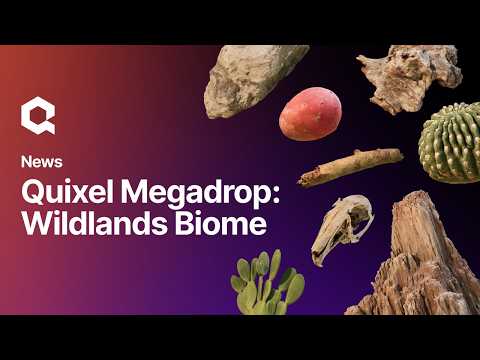 Quixel Megadrop: Wildlands Biome | Megascans Assets on Fab