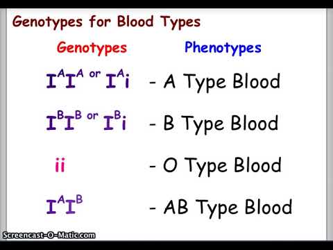 , title : 'Blood Types and Punnett Squares'