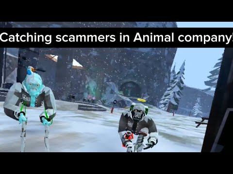 Catching SCAMMERS in animal company! 