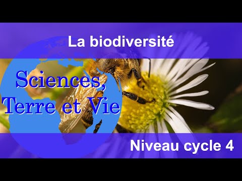 Biodiversity