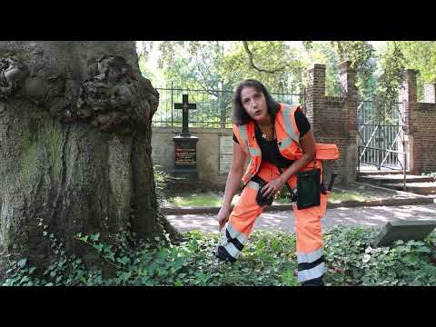 Wie funktioniert eine Baumkontrolle?