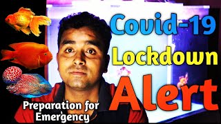 Covid-19 lockdown Alert || How to care fish in Lockdown || preparation For Emergency