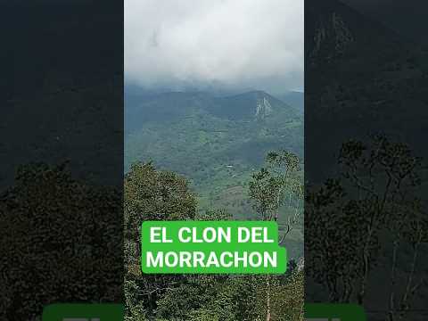 🛑 El CLON del Cerro El MORRACHON
