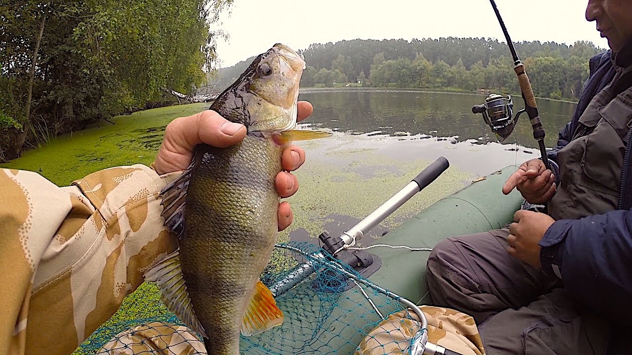 ромарио агро рыбалка. рыбалка на спиннинг с лодки. рыбак ромарио агро. ромарио агро новые рыбалка. ромарио агро новые рыбалка.