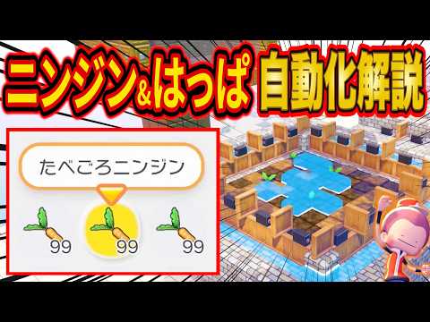 【ぽこあポケモン】たべごろニンジン&はっぱが大量に採れる自動栽培マシンの作り方をガチ勢が徹底解説【ぽこポケ/回路/建築/攻略】