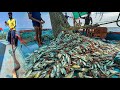 AMAZING We Caught Tons Of Mackerel And Trevally Fish In A Single Catch WOW