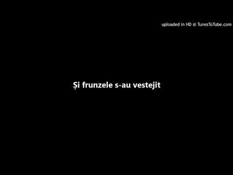 Pastean Vasile - Și frunzele s-au vestejit