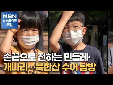 「개나리」의 한국수어 표현