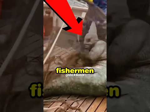 They found a Mysterious CREATURE Hidden in the OCEAN!  🧜‍♀️