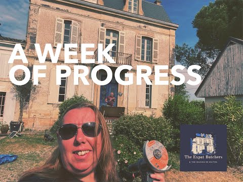 A Week Of Progress #38