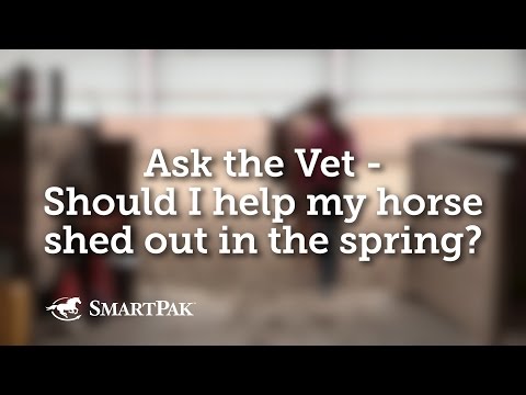 Ask the Vet - Should I help my horse shed out in the spring? Video