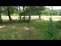 A Bird Chase S A Fox Out Of The Yard