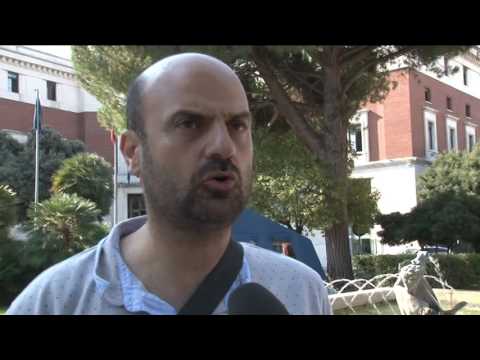 Ambientalisti in  consiglio comunale per “salvare gli alberi